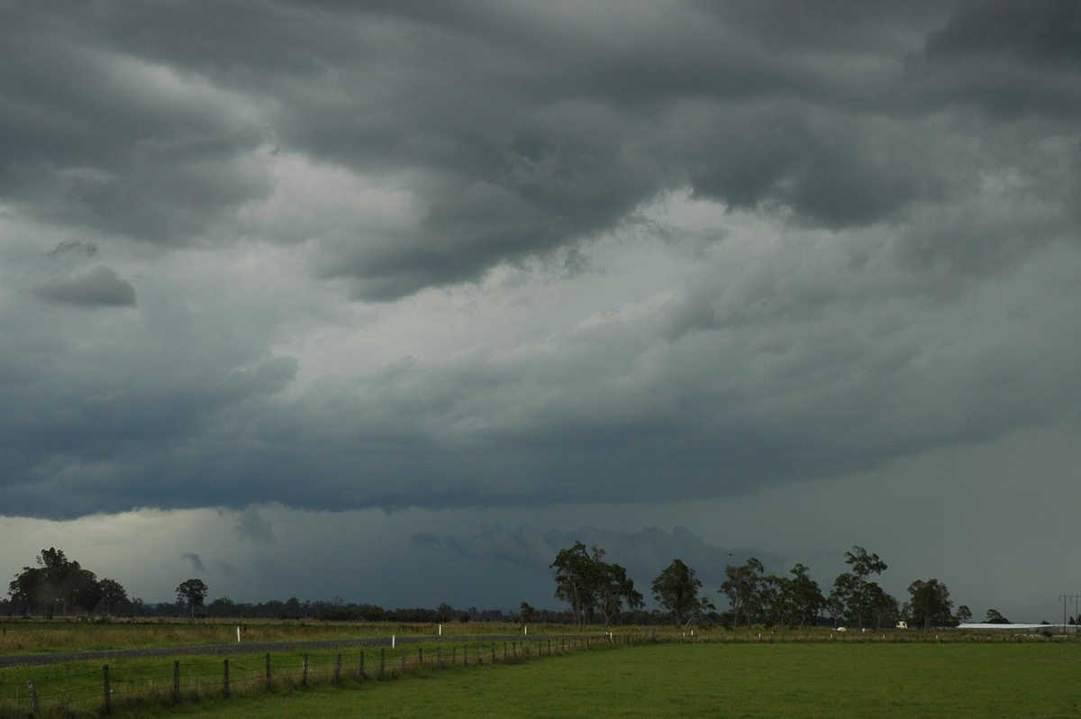 cumulonimbus thunderstorm_base : S of Lismore, NSW   1 December 2005