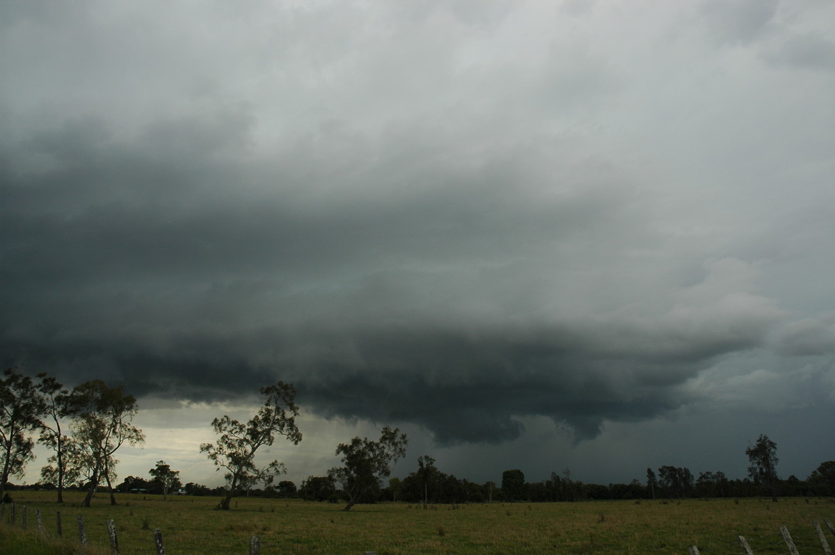 cumulonimbus thunderstorm_base : S of Lismore, NSW   1 December 2005