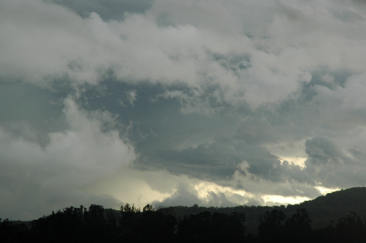 stratus stratus_cloud : near Maclean, NSW   1 December 2005