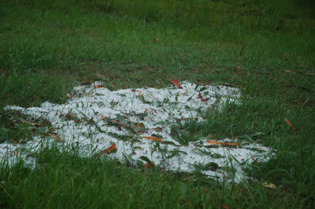 hailstones hail_stones : near Maclean, NSW   1 December 2005