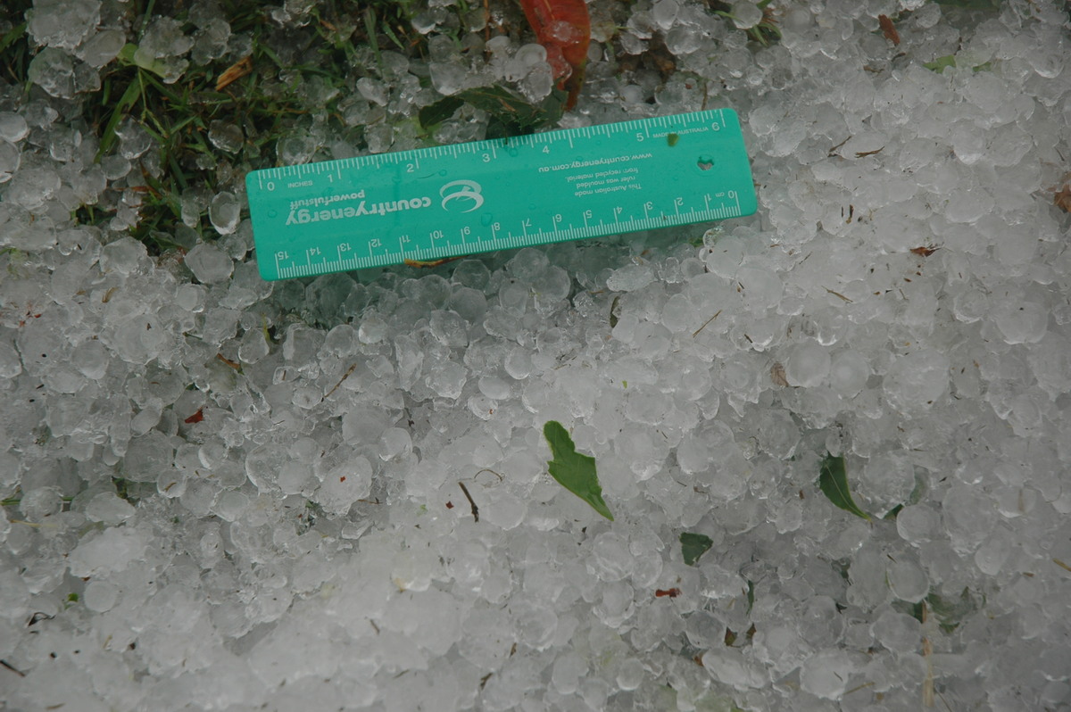 hailstones hail_stones : near Maclean, NSW   1 December 2005