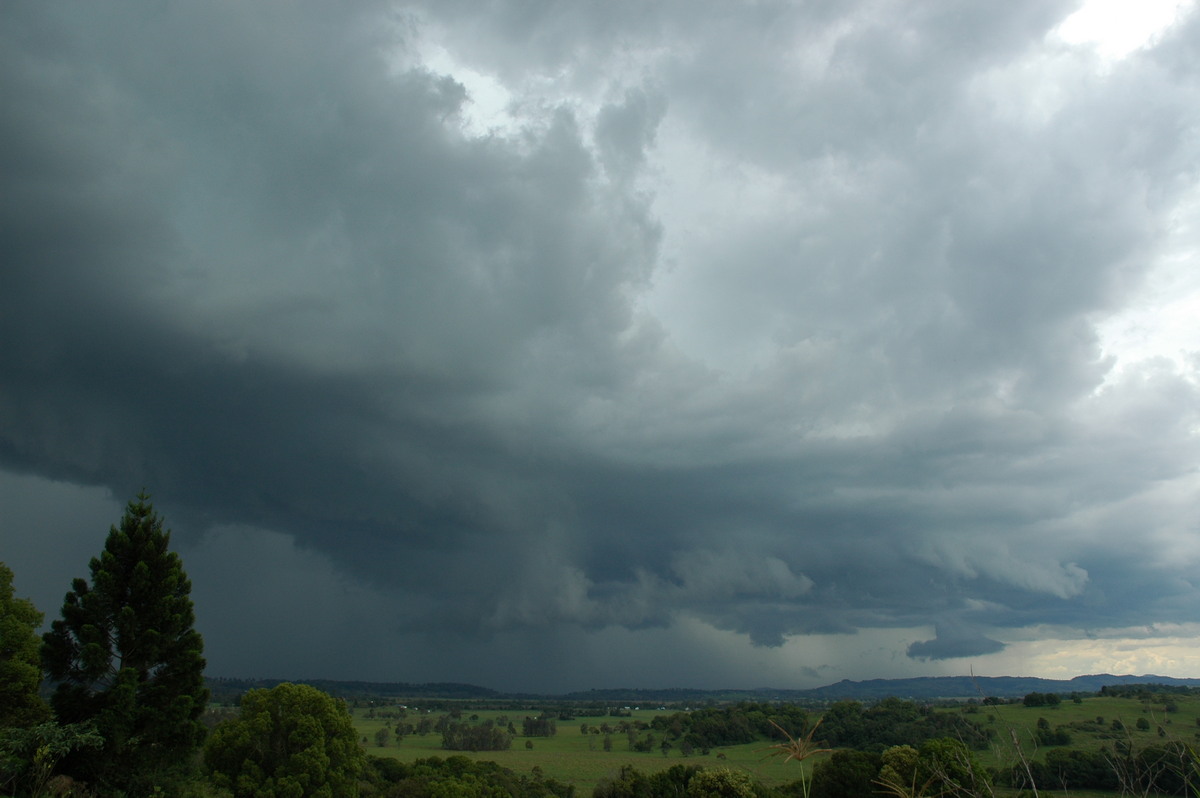 cumulonimbus thunderstorm_base : Tregeagle, NSW   2 December 2005