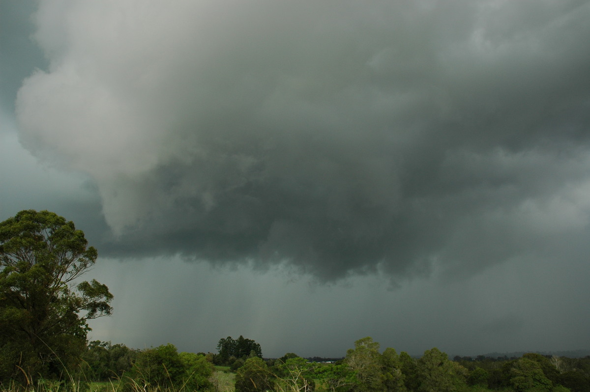raincascade precipitation_cascade : Tregeagle, NSW   2 December 2005