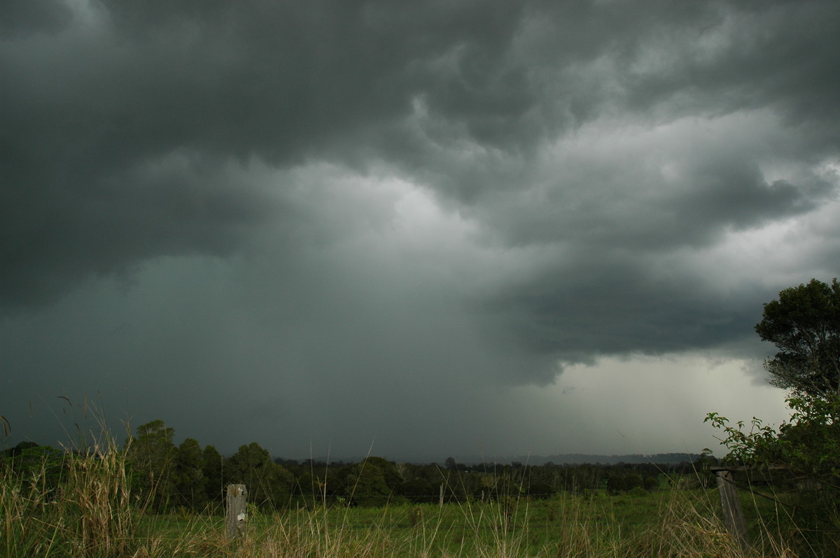 raincascade precipitation_cascade : Tregeagle, NSW   2 December 2005