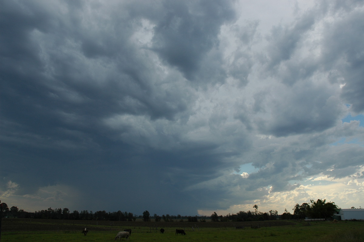 cumulonimbus thunderstorm_base : near Coraki, NSW   13 December 2005