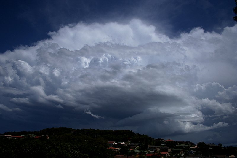 cumulonimbus thunderstorm_base : Hallidays Point, NSW   17 December 2005