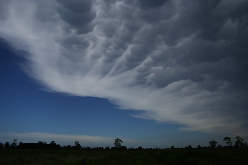 mammatus mammatus_cloud : Taree, NSW   17 December 2005