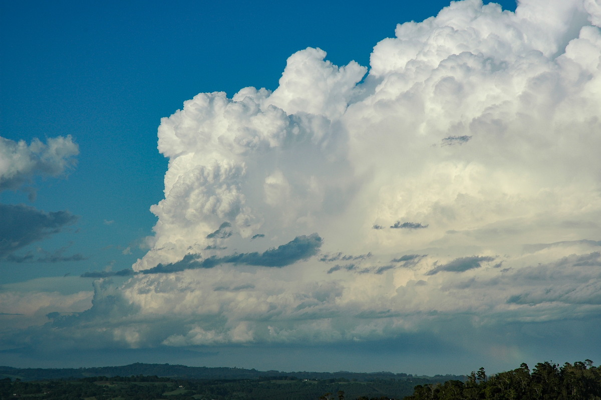 cumulonimbus supercell_thunderstorm : McLeans Ridges, NSW   17 December 2005