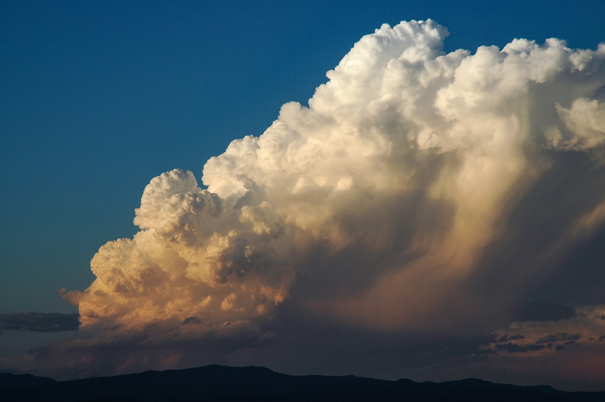 thunderstorm cumulonimbus_incus : McLeans Ridges, NSW   17 December 2005