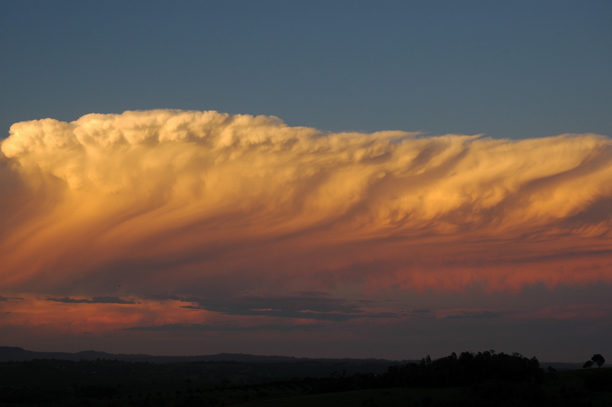 anvil thunderstorm_anvils : McLeans Ridges, NSW   17 December 2005