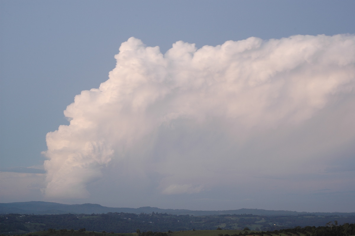 thunderstorm cumulonimbus_incus : McLeans Ridges, NSW   17 December 2005