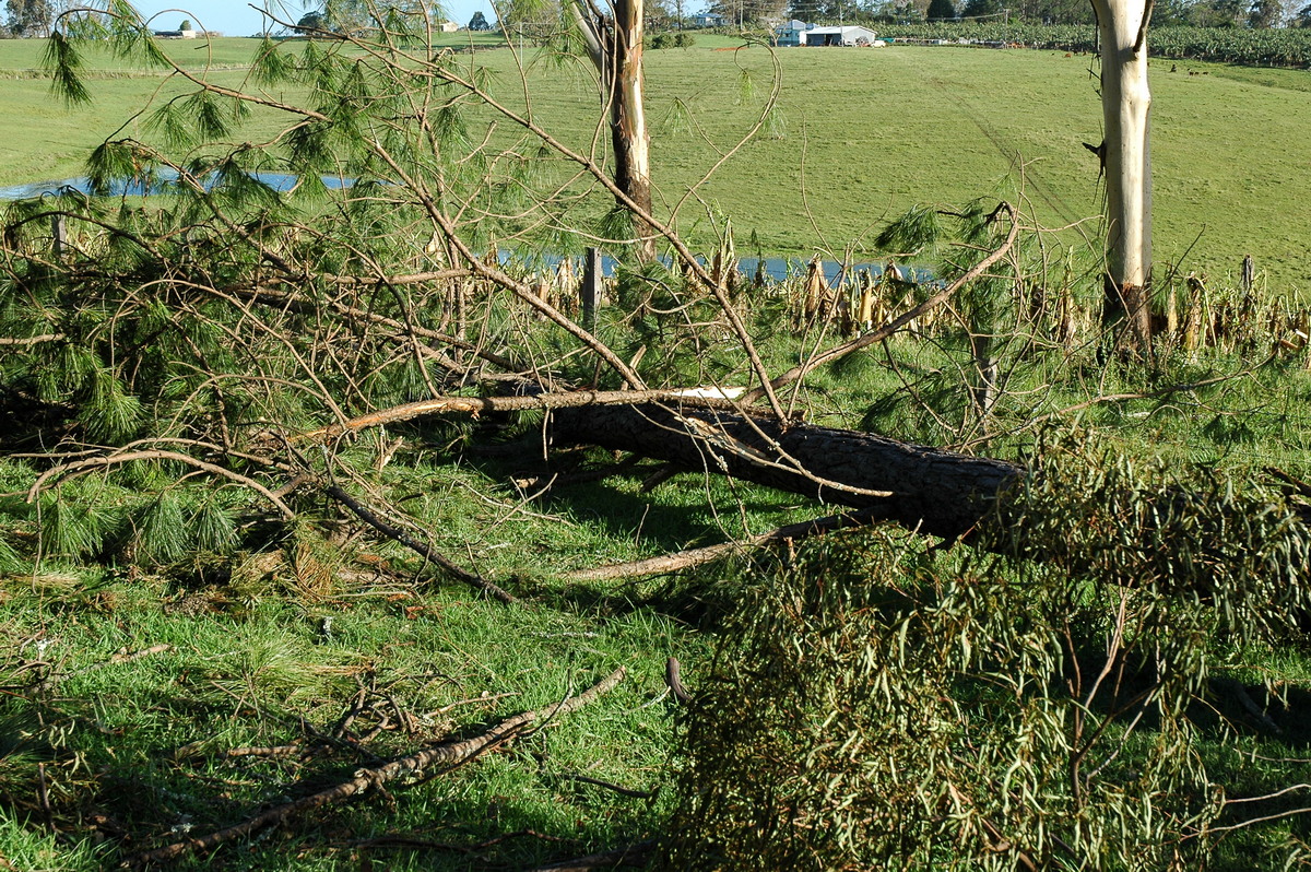 disasters storm_damage : Modanville, NSW   18 December 2005