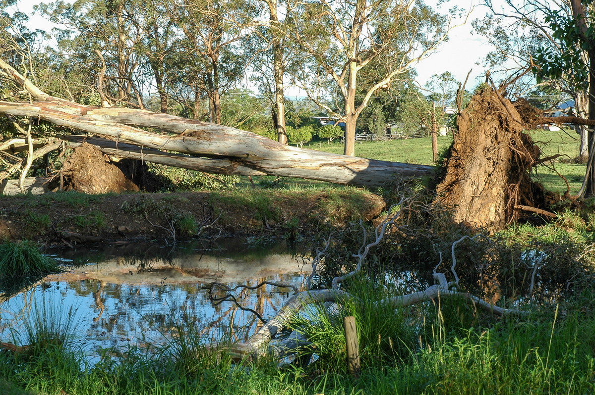 disasters storm_damage : Modanville, NSW   18 December 2005