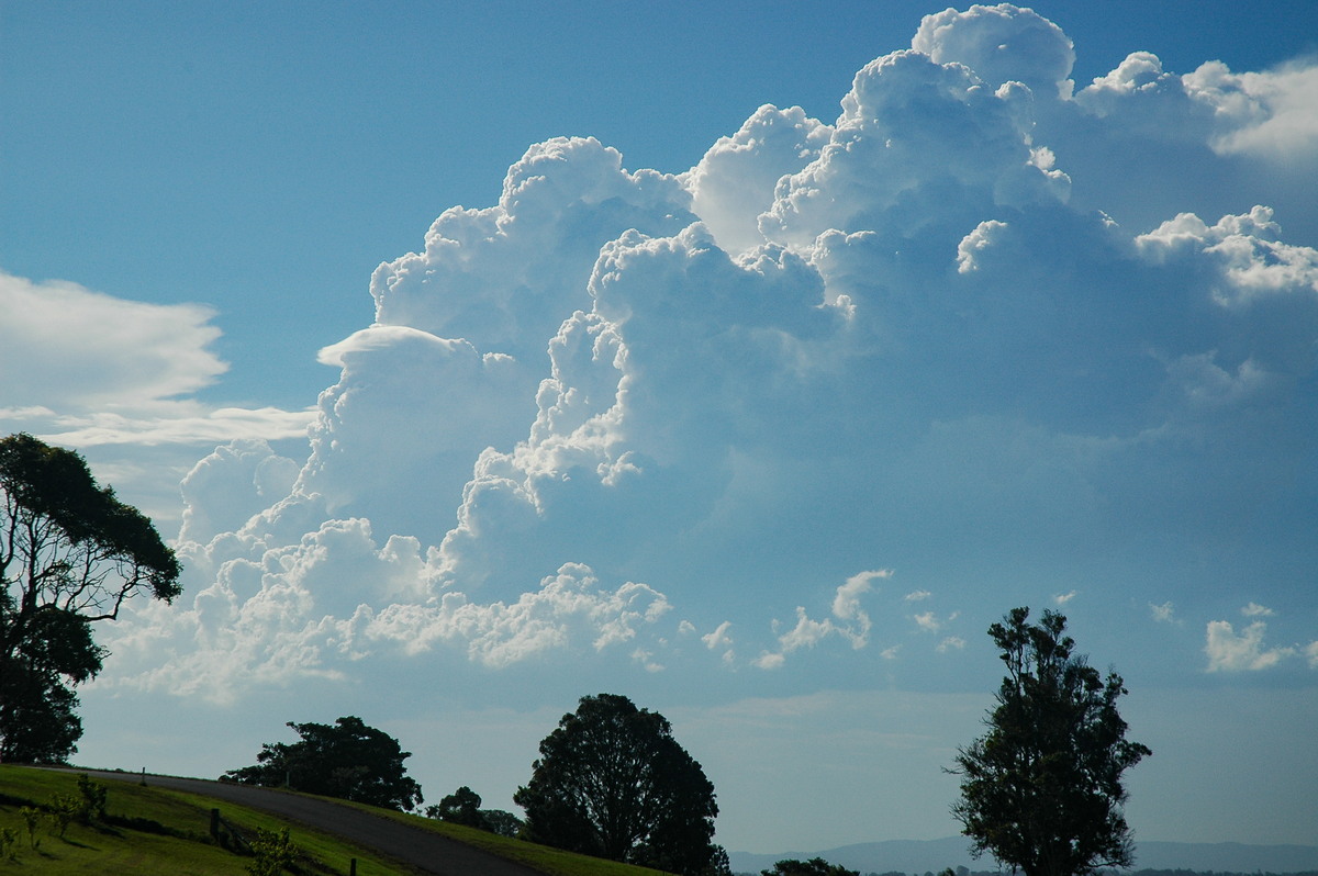 pileus pileus_cap_cloud : McLeans Ridges, NSW   23 December 2005