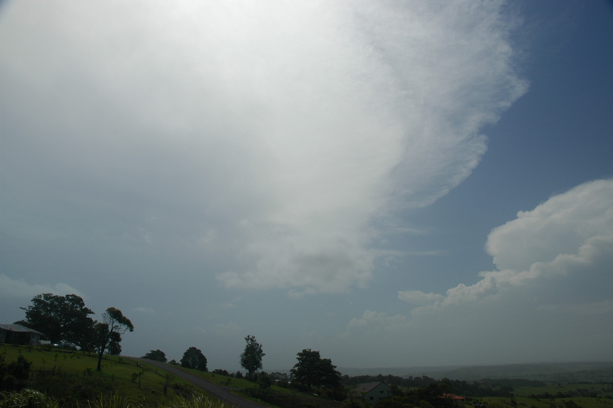 anvil thunderstorm_anvils : McLeans Ridges, NSW   25 December 2005