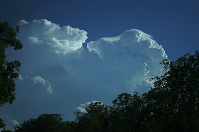 thunderstorm cumulonimbus_calvus : near Yarraman, Qld   26 December 2005