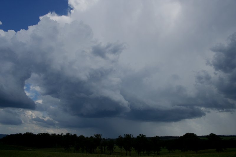 cumulonimbus thunderstorm_base : Richmond Range, NSW   27 December 2005