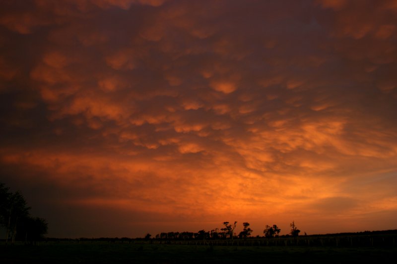 mammatus mammatus_cloud : Kempsey, NSW   28 December 2005