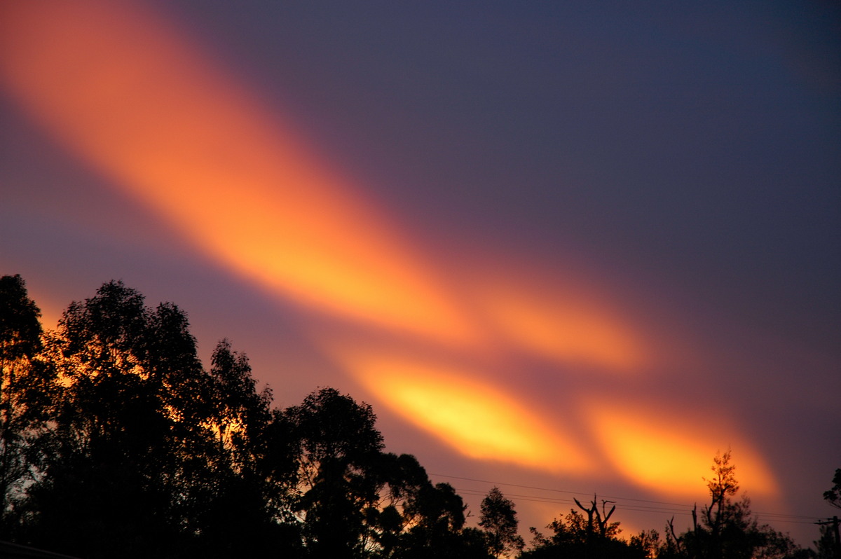 sunset sunset_pictures : McLeans Ridges, NSW   29 December 2005