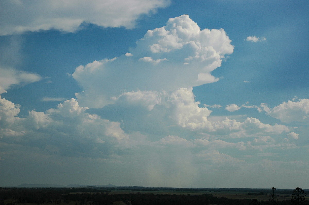 thunderstorm cumulonimbus_calvus : Parrots Nest, NSW   3 January 2006