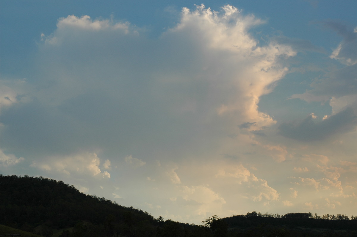 thunderstorm cumulonimbus_calvus : NW of Lismore, NSW   3 January 2006