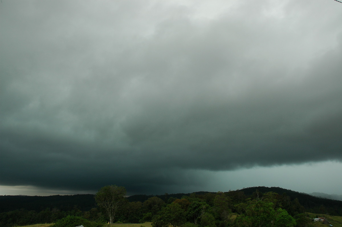 cumulonimbus thunderstorm_base : Mallanganee NSW   6 January 2006