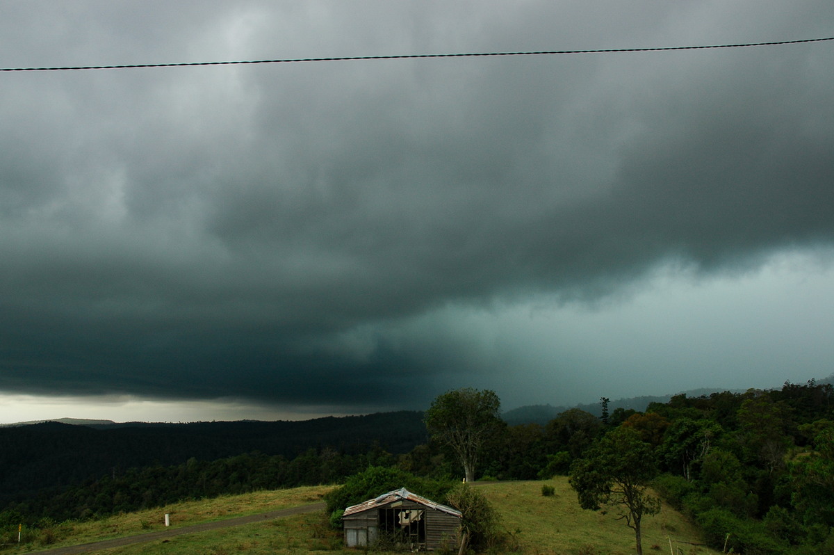 cumulonimbus thunderstorm_base : Mallanganee NSW   6 January 2006