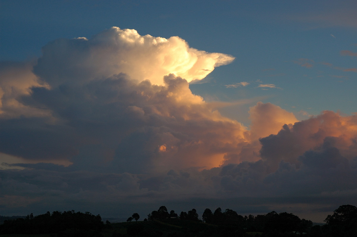 thunderstorm cumulonimbus_incus : McLeans Ridges, NSW   10 January 2006