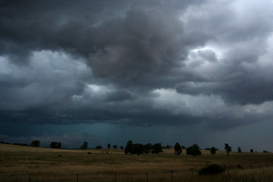 cumulonimbus thunderstorm_base : Forbes, NSW   15 January 2006