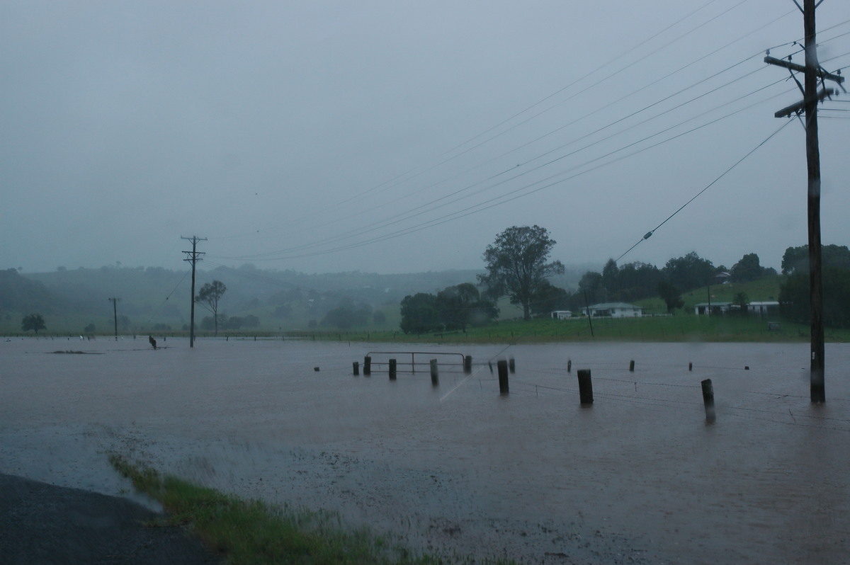 flashflooding flood_pictures : McLeans Ridges, NSW   19 January 2006