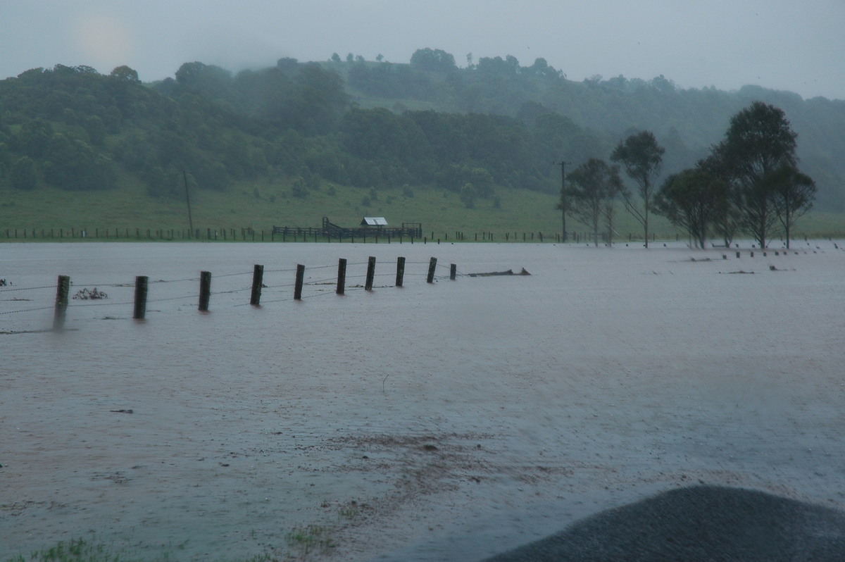 precipitation precipitation_rain : McLeans Ridges, NSW   19 January 2006