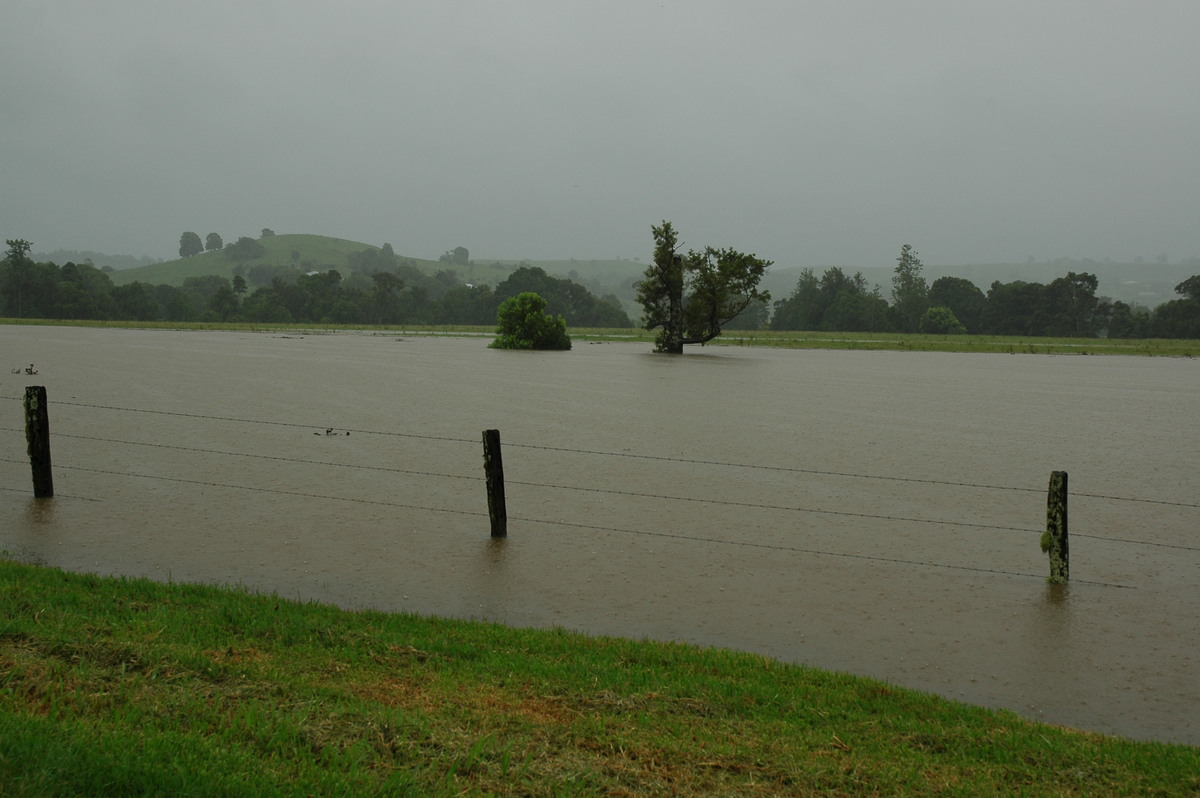 flashflooding flood_pictures : McLeans Ridges, NSW   19 January 2006