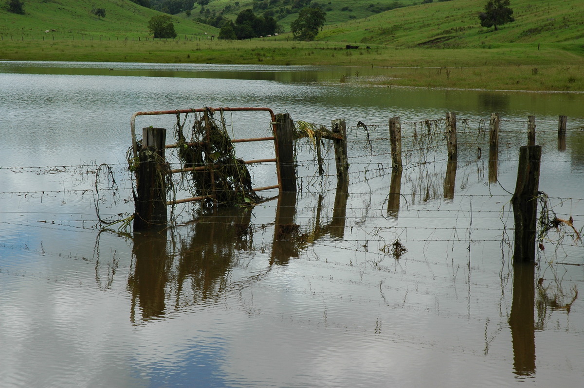 flashflooding flood_pictures : McLeans Ridges, NSW   21 January 2006