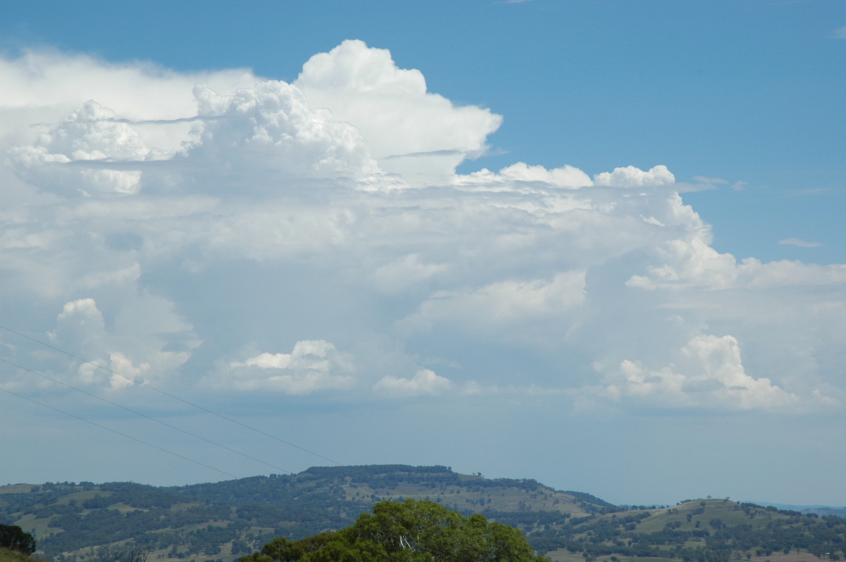 thunderstorm cumulonimbus_calvus : near Glen Innes, NSW   4 February 2006