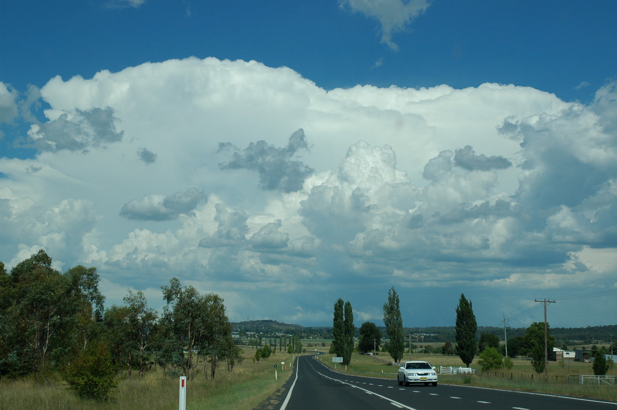 cumulus congestus : Glen Innes, NSW   4 February 2006