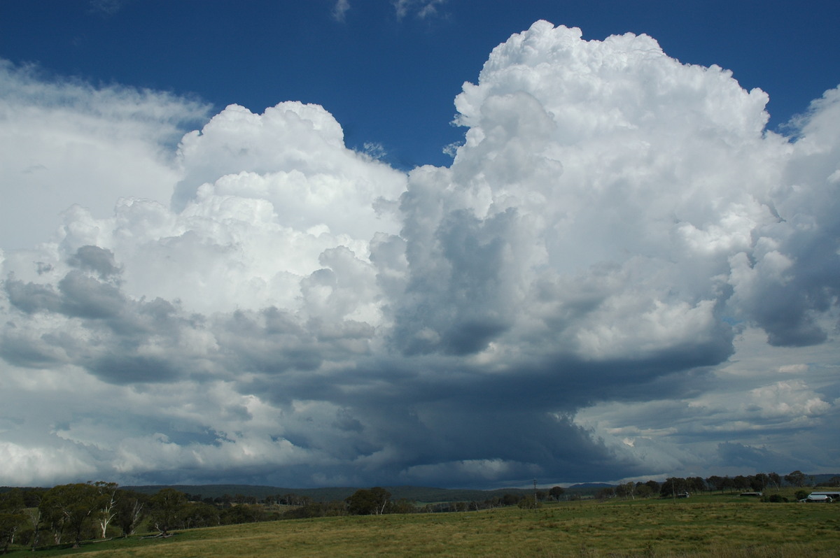 thunderstorm cumulonimbus_calvus : near Glen Innes, NSW   4 February 2006