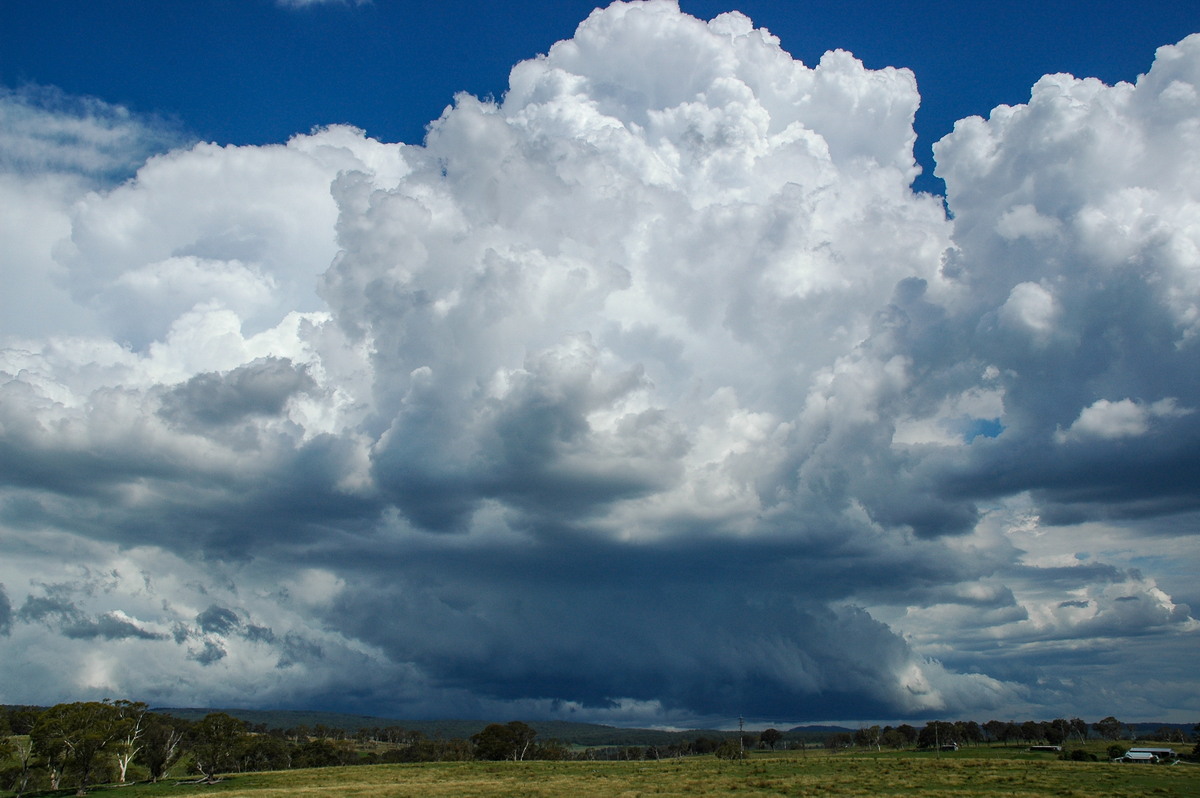 cumulonimbus thunderstorm_base : near Glen Innes, NSW   4 February 2006