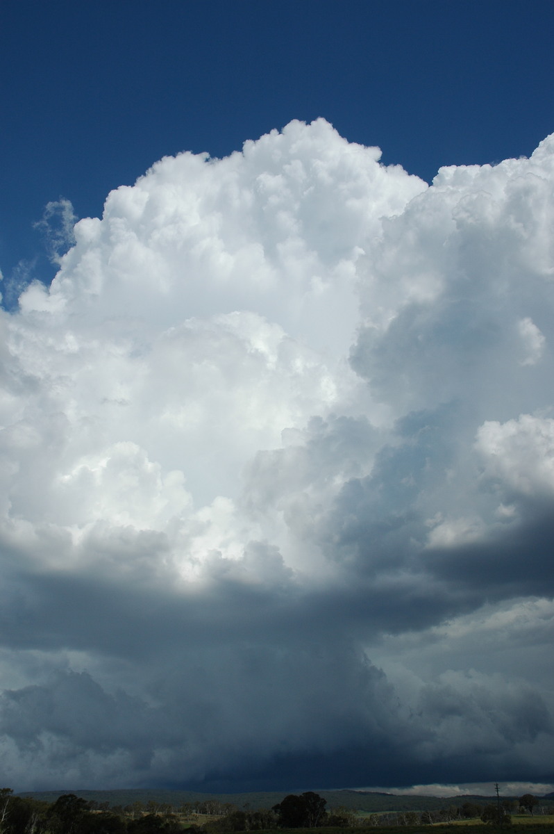 thunderstorm cumulonimbus_calvus : near Glen Innes, NSW   4 February 2006