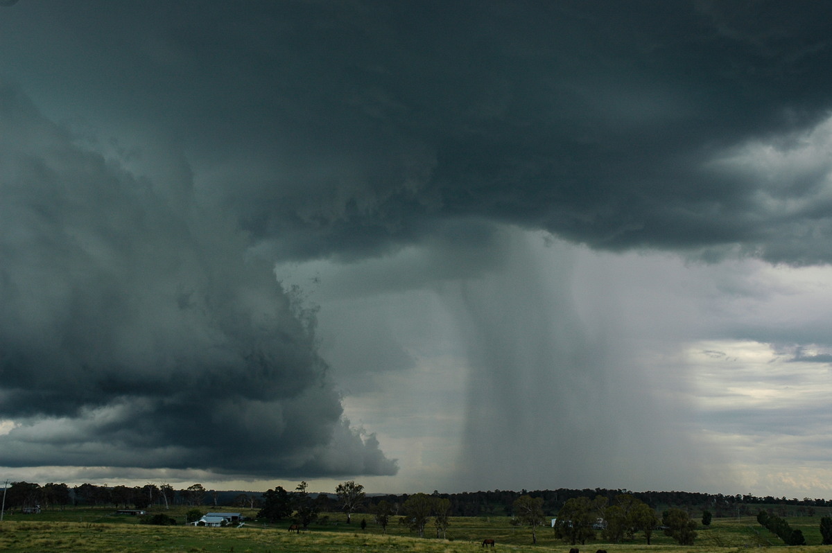 raincascade precipitation_cascade : near Glen Innes, NSW   4 February 2006