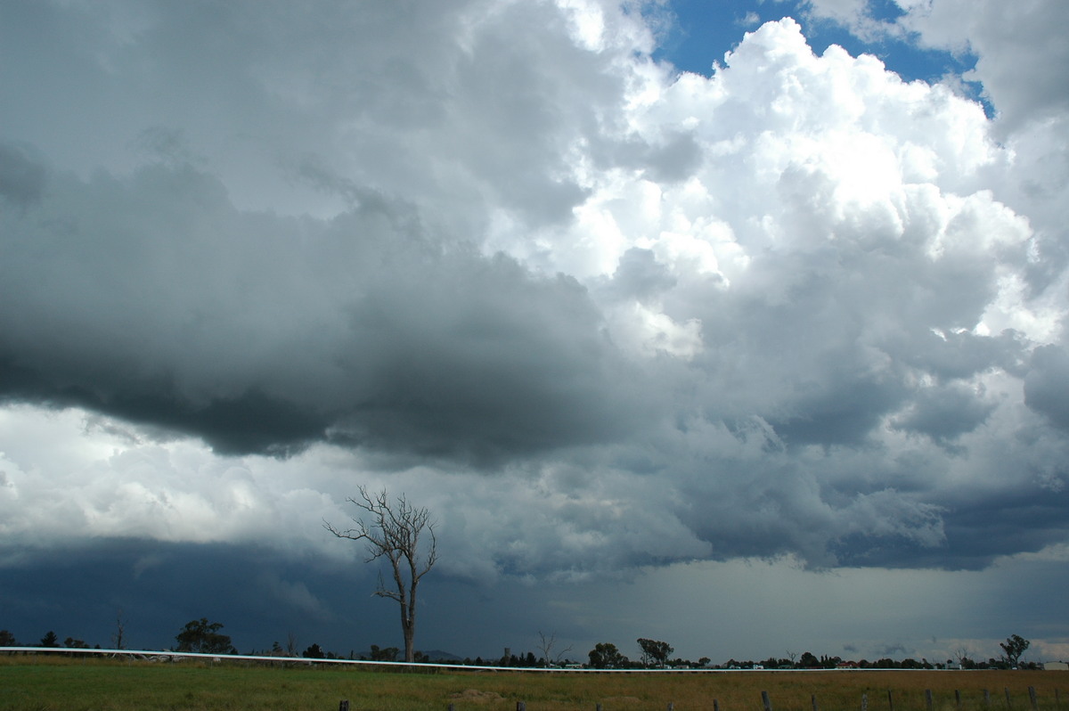 cumulonimbus thunderstorm_base : Deepwater, NSW   4 February 2006