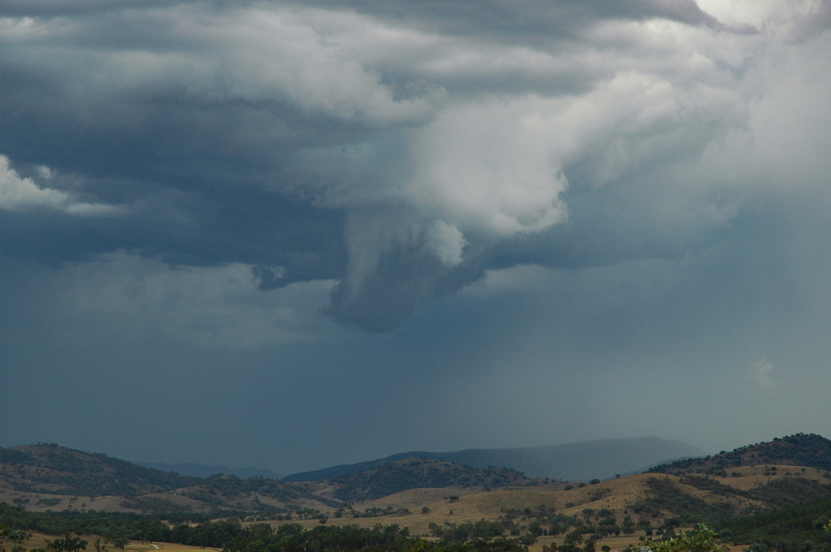 cumulonimbus thunderstorm_base : W of Tenterfield, NSW   4 February 2006