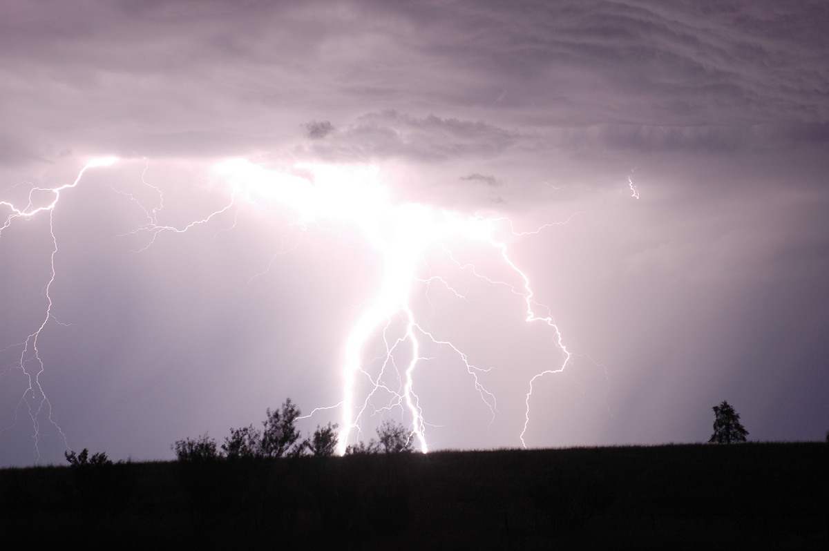 lightning lightning_bolts : near Bonshaw, NSW   4 February 2006