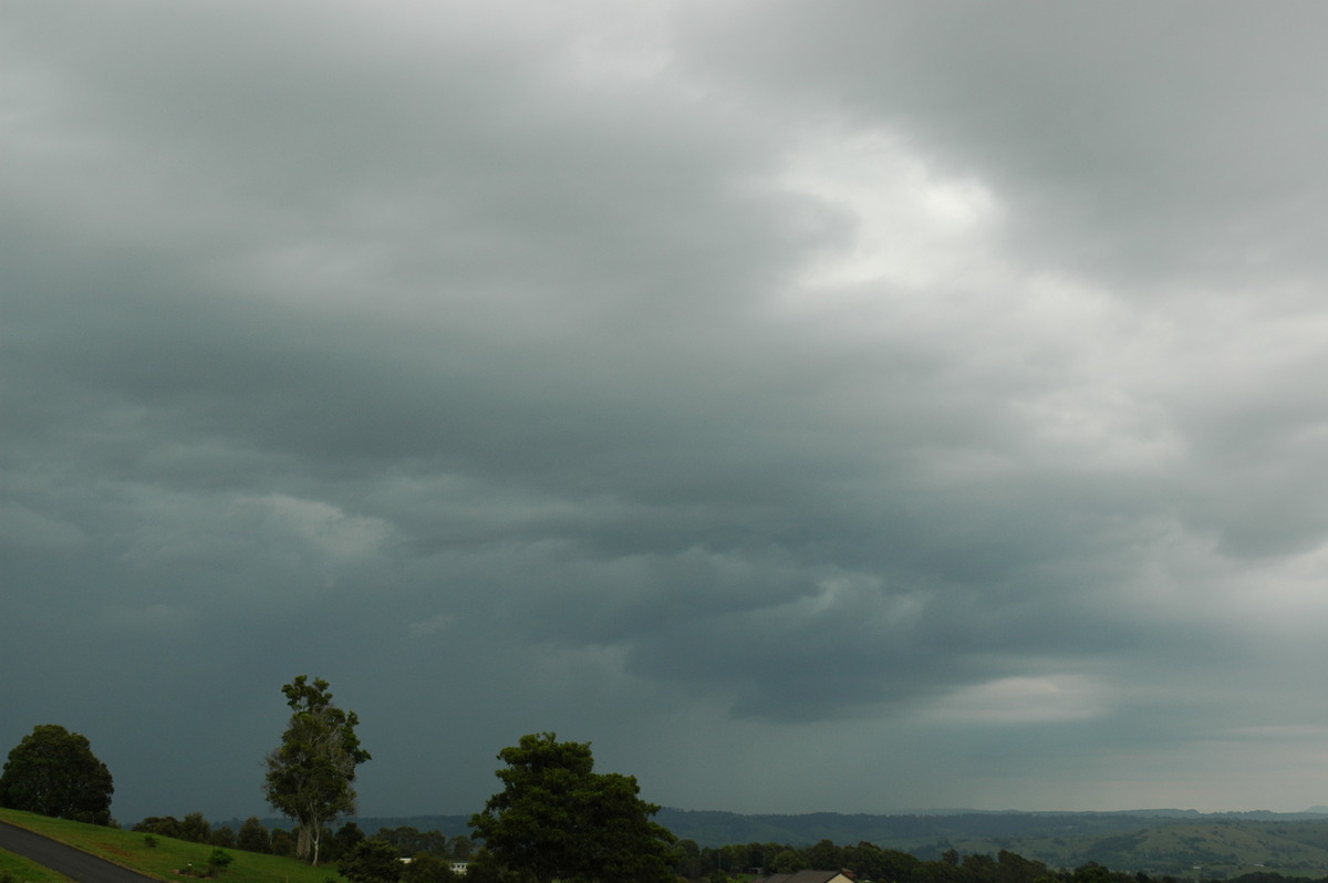cumulonimbus thunderstorm_base : McLeans Ridges, NSW   7 February 2006