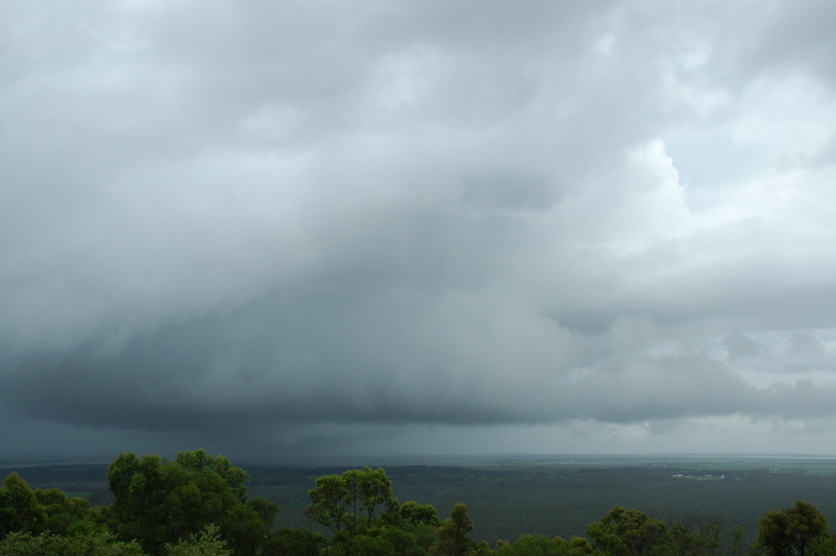 cumulonimbus thunderstorm_base : Maclean, NSW   12 February 2006
