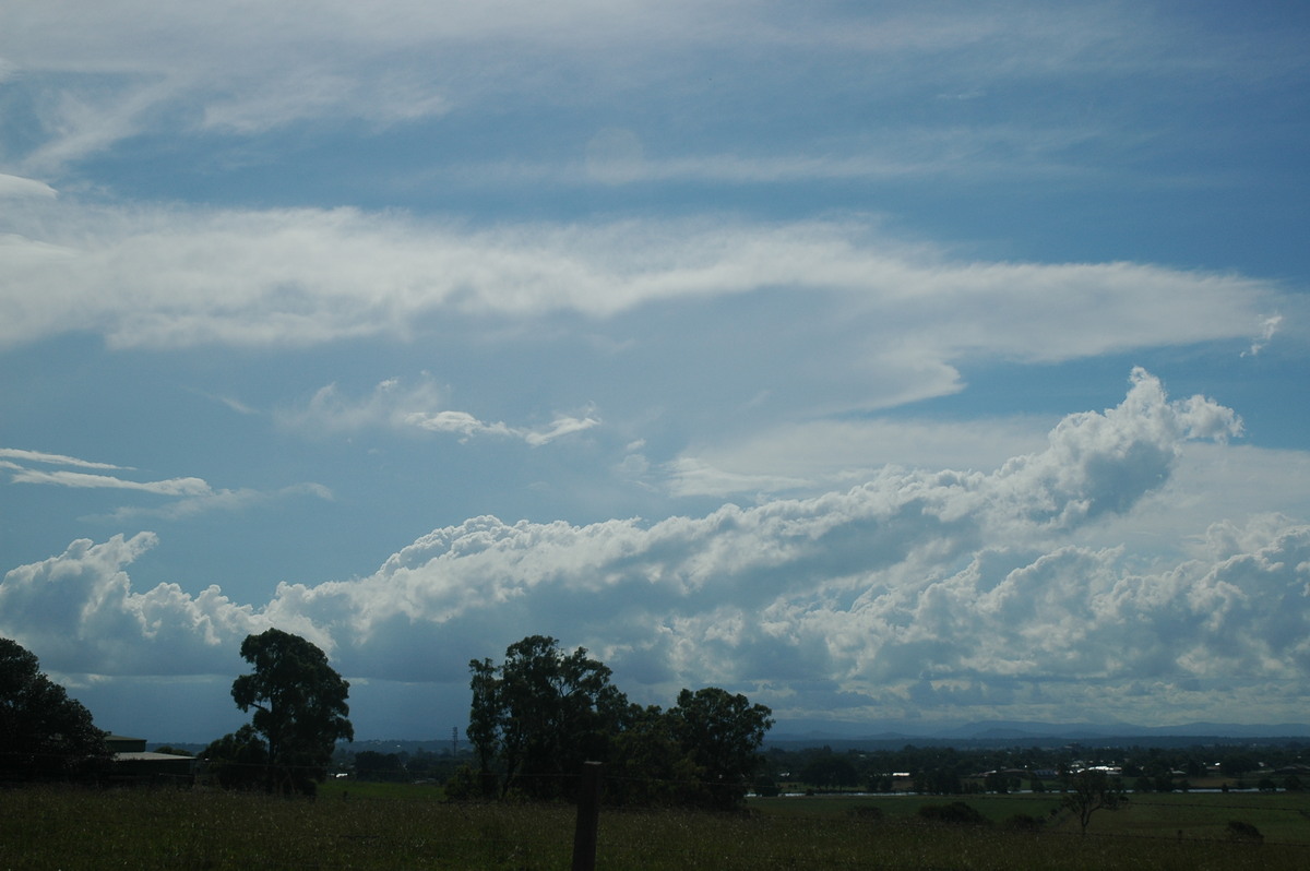 cumulus mediocris : near Grafton, NSW   12 February 2006