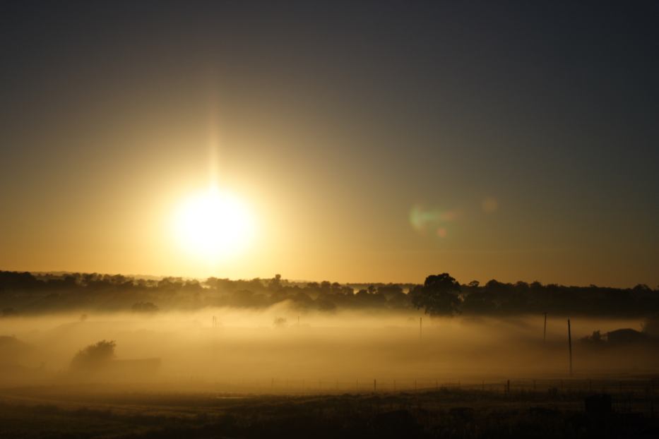 favourites jimmy_deguara : Schofields, NSW   13 February 2006