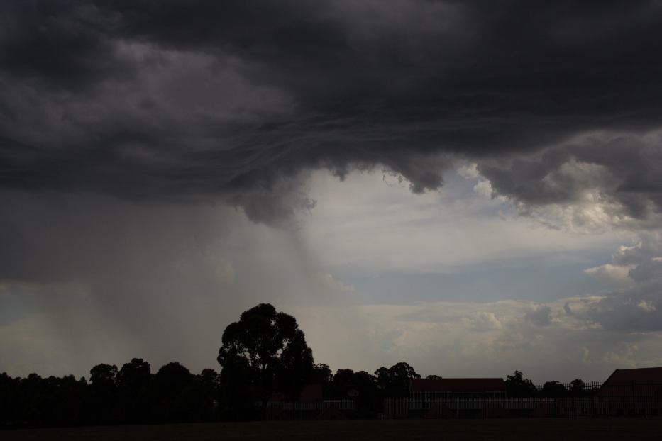cumulonimbus thunderstorm_base : Quakers Hill, NSW   18 February 2006