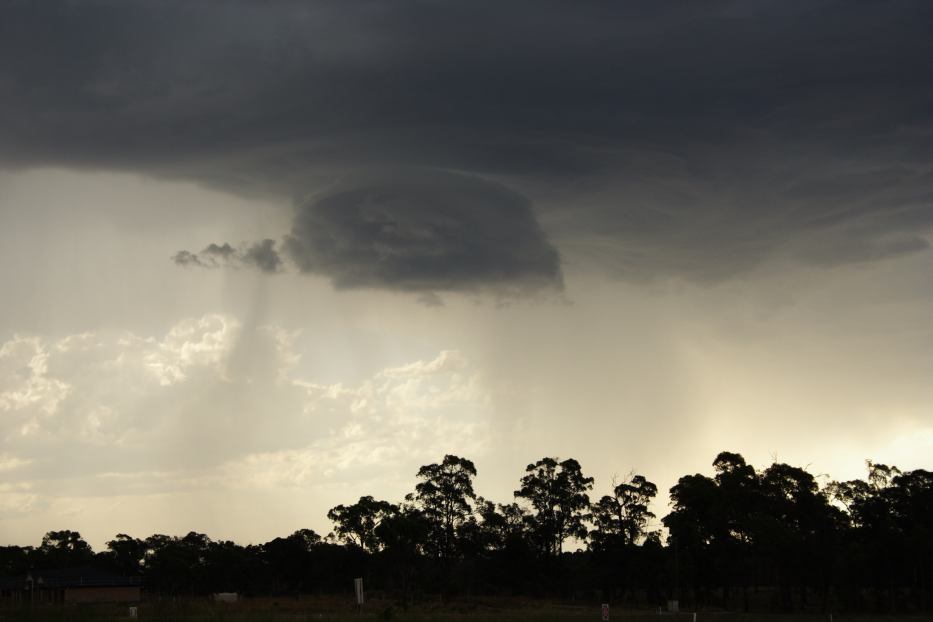 cumulonimbus thunderstorm_base : Greta East, NSW   19 February 2006