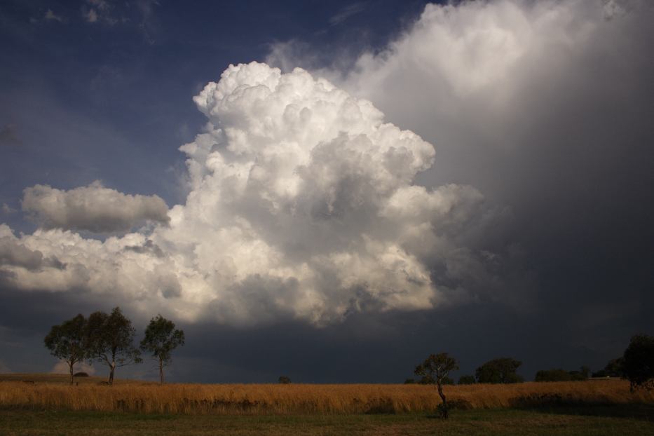 favourites jimmy_deguara : Gulgong, NSW   20 February 2006