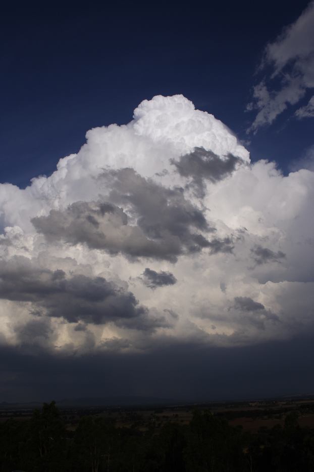 thunderstorm cumulonimbus_calvus : Gulgong, NSW   20 February 2006